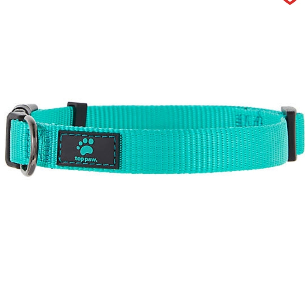 Top Paw Gunmetal Adjustable Dog Collar Teal